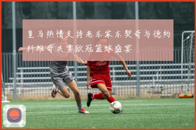 皇马热情支持老东家东契奇与德约科维奇共赏欧冠篮球盛宴