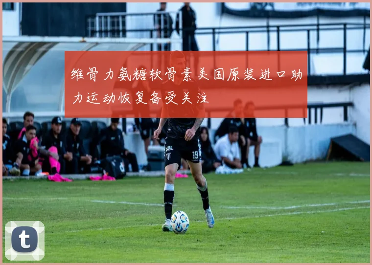维骨力氨糖软骨素美国原装进口助力运动恢复备受关注