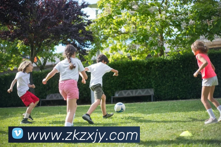 多媒体互动体验